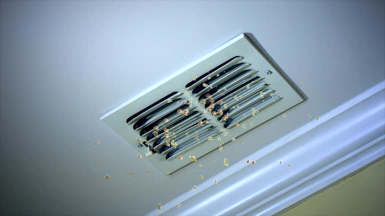 Best Best Air Duct Cleaning Company  in Northchase, NC